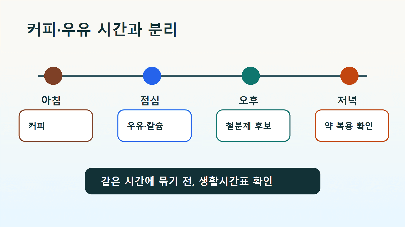 아침 커피, 차, 우유, 칼슘제와 철분제 시간을 분리해 적는 하루 섭취 타이밍 지도